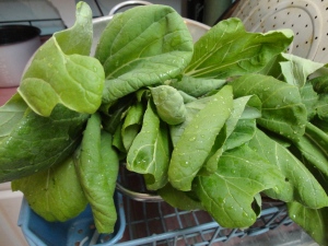 Greenhouse produce